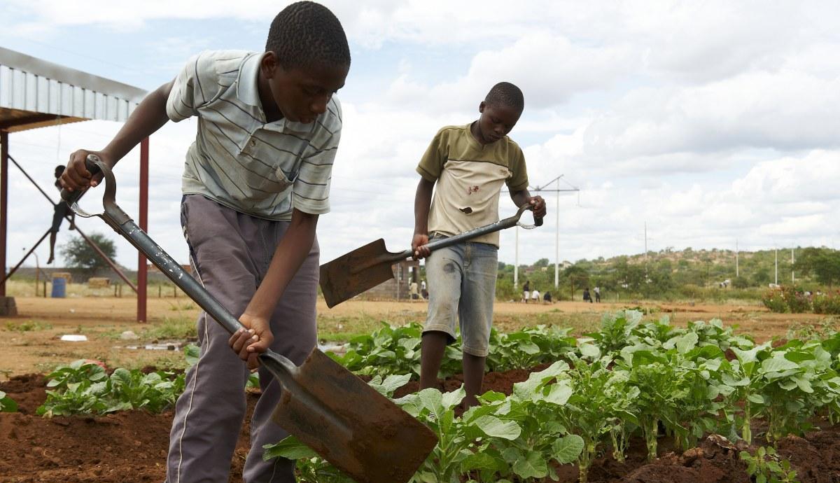 我妈妈是干惯农活的人,时身体挺强壮,最在路上