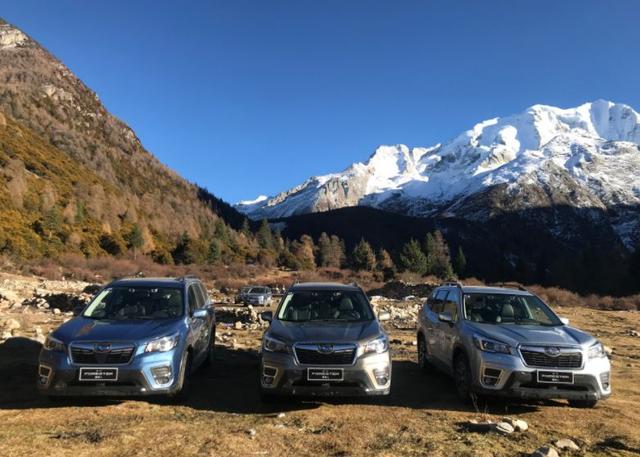 Լ22.38ĽSUVһɭ˷ѩɽԽҰѹ