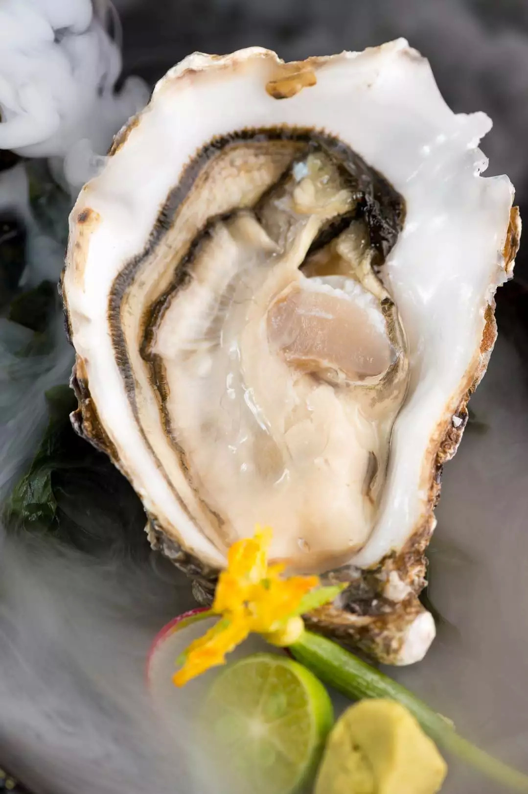 抖音带火的济南有一家顶着无数【NO.1】光环