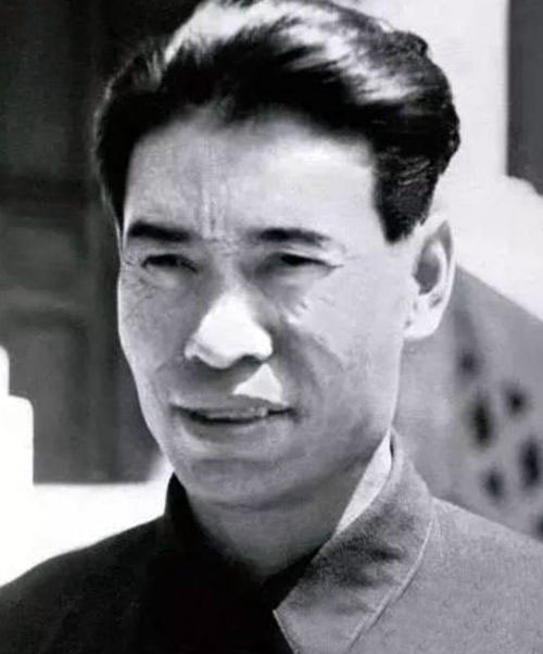 高岗一砖头将匪首拍死,未放一枪,没死一人,平定