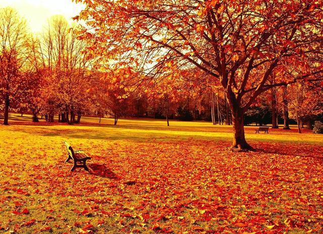 石家庄的空气污染有哪些主要因素