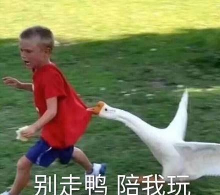 近期斗图沙雕表情包合集