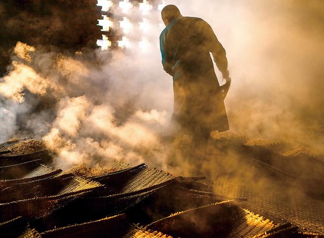 2018年农村这四大项目,将得到国家的资金支持