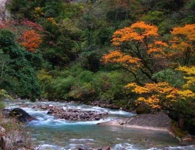 四川最适合宜居的五个城市，成都只能排第二？