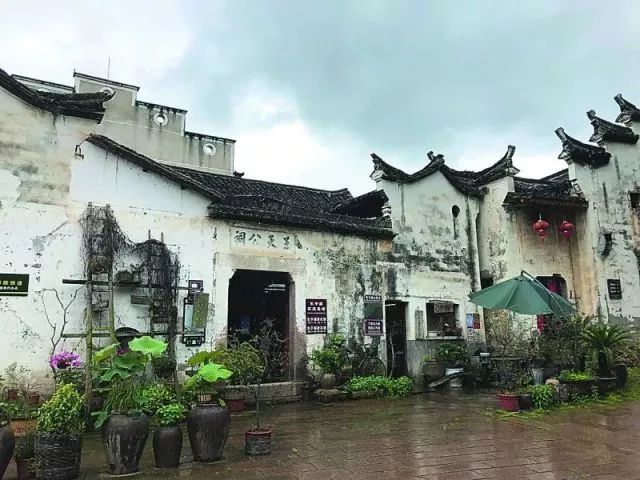 来过一次便不想走!缙云乡愁旅游如何让他们流连忘返?