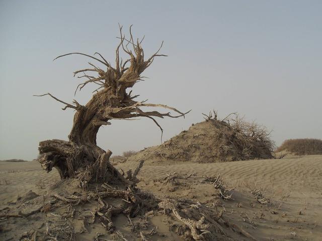 寸草不生的新疆沙漠,发现巨大湖泊,资源量可供全球用200年