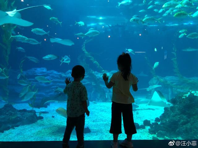 汪小菲晒照!感叹时光太快,女儿小玥儿长大,大S