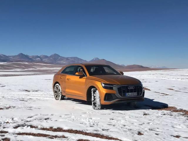 36款车型入围“2019世界年度车”,看好这十款