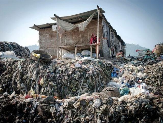 印度占地570多亩的垃圾场,人与动物一起寄生在此地!