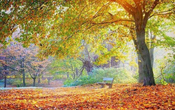 秋季的过敏性咳嗽让你痛苦不已!这些小妙招给