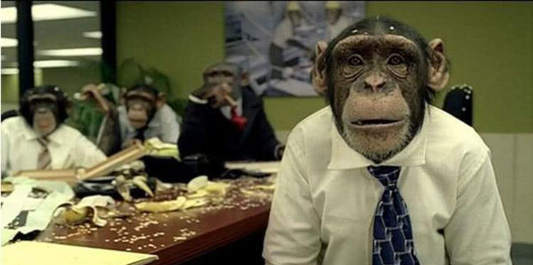 工作5年的程序员每月能拿几工资?网友:能活下