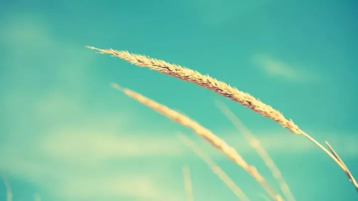 20句情话句子,逗女朋友开心的套路段子