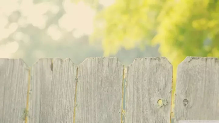 20句情话句子,逗女朋友开心的套路段子