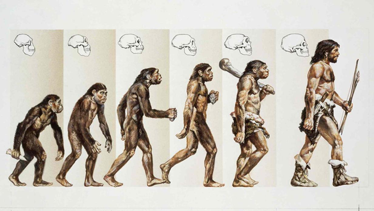 人是由猿猴进化而来的还是上帝耶和华创造的?若答案是