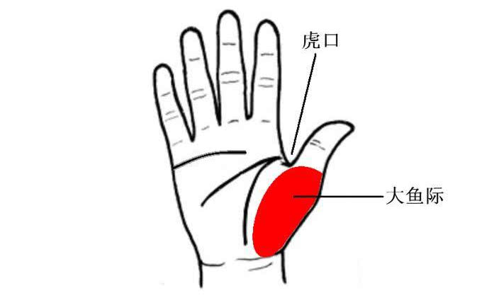 大鱼际