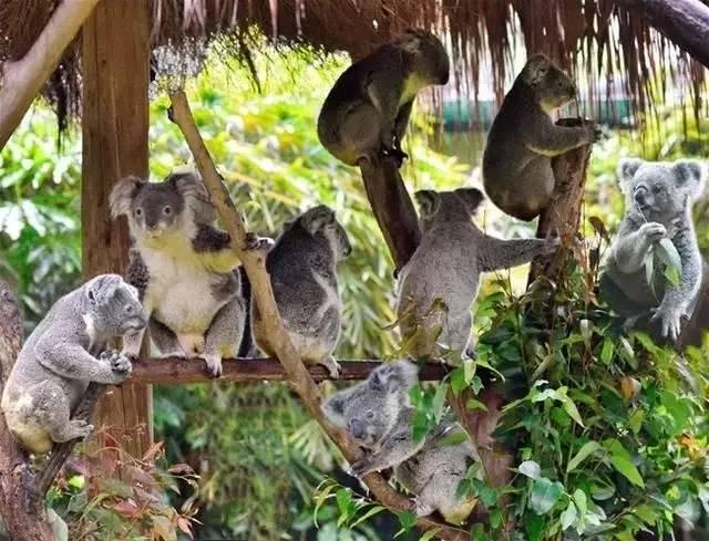 广州十大必去旅游景点,去了5个算及格,包你去