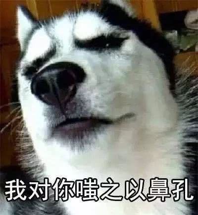对方拒绝了你的狗粮,并向你扔了一个嫌弃的表情