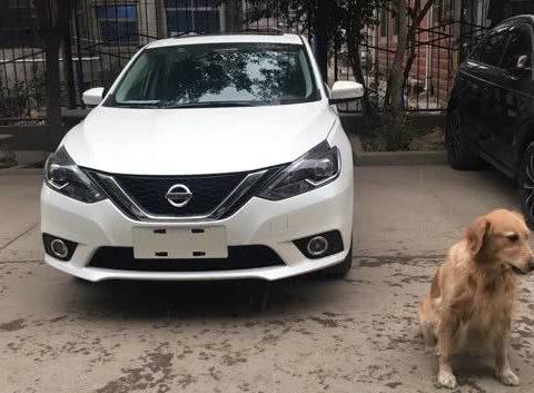 小姨刚买了卡罗拉,你绝对不知道的秘密