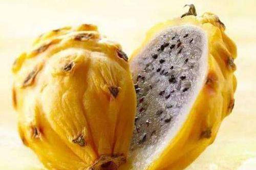 世界上最贵的水果,五种来自日本,没有一个来自