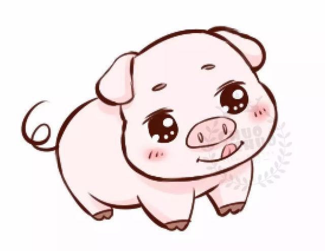 超简单的绘画小教程——可爱小猪