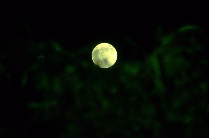 冷月窗外独明,悄照佳人懒容.暗夜对月处,三更恨梦不醒.