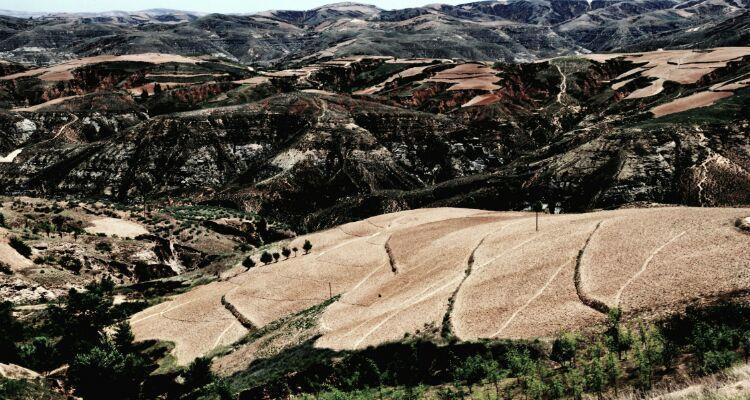 走过陕北高原的沟壑沙峁, 才会明白什么叫
