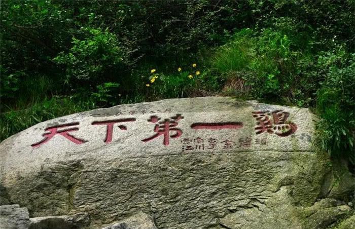 天下第一鸡在哪里?香到惊醒乾隆皇帝,爱吃鸡的人绝对不能错过