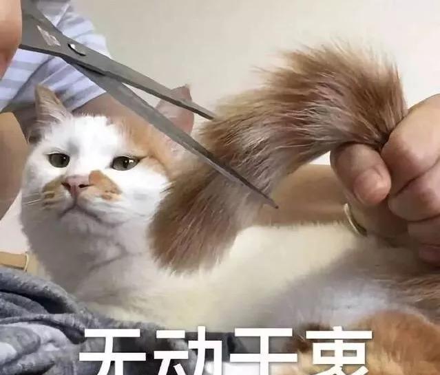 刚Diss完吴亦凡的陈冠希，转脸就剪了个同款发型……
