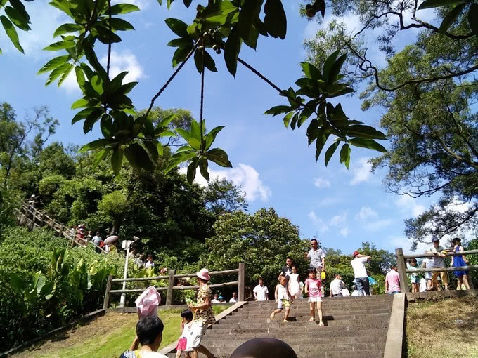 看海口火山口海鲜,吃最美味的景象物业美食街大餐图片