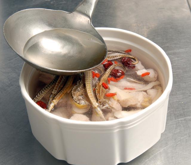 海马的功效与作用及食用方法
