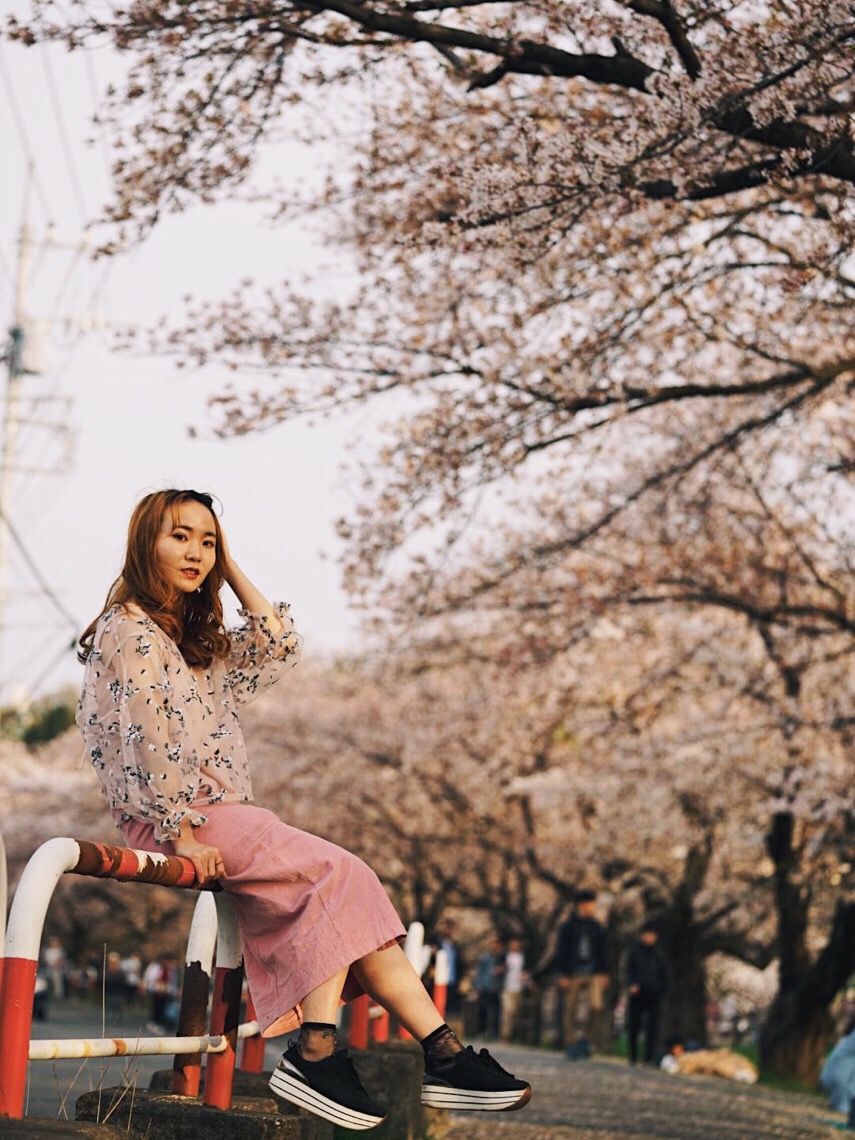 本科中山大学 目前在日本东京大学读研究生,化