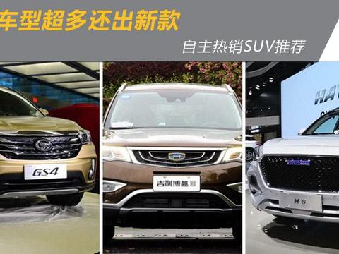 车型超多还出新款 自主主力SUV新车对比