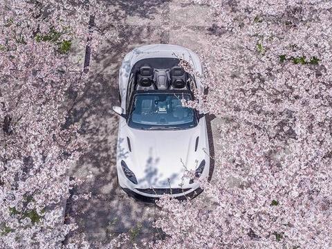 阿斯顿马丁DB11与樱花邂逅，美得不要不要的系列！