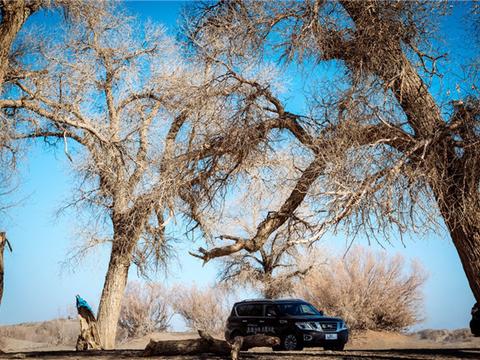 沙漠之王如何圆他的越野终极梦