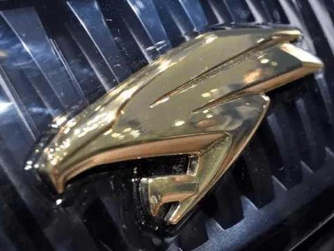 丰田新款SUV亮相，采用黄金车标更显逼格，售18万被称小汉兰达