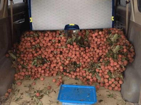 五菱为啥能在中国称为神车