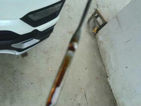 全球几大最强壮的SUV 可以买到还不费油