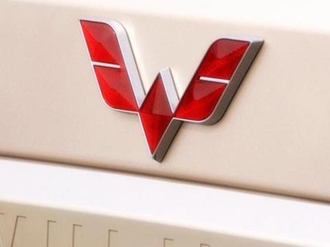 这4个品牌打着国产车的幌子，其实都是合资车，五菱宏光中枪！