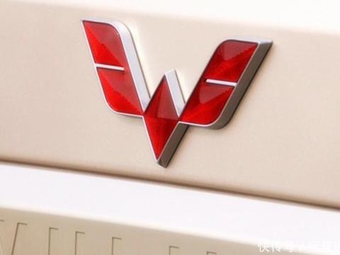 这4个品牌打着国产车幌的子,其实都是合资车,五菱宏光中枪!!