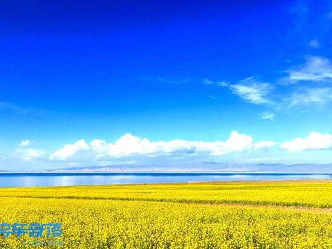 油菜花马上要开了，就等你了--新星通途T600风尚版房车