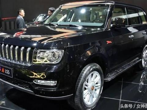 5米2长的国产顶级豪车，车头9条龙加持，售价让人难以接受