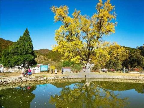 商南起义走出了哪些开国将军名单