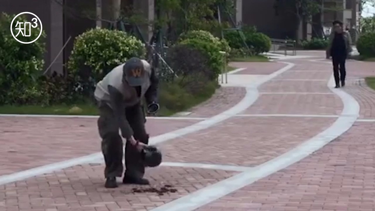 为什么农村有人把喝完的中药渣倒在十字路口?