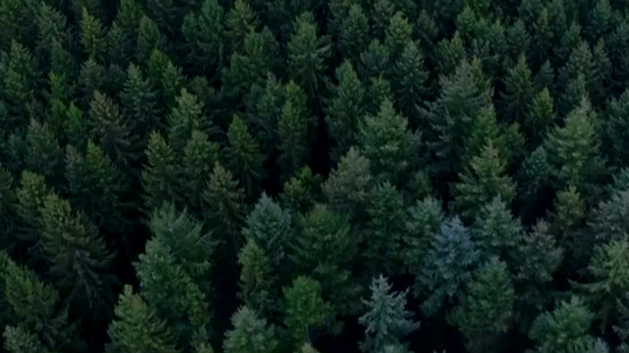 厉害，中国人制造的全球最快电动超级跑车EP9