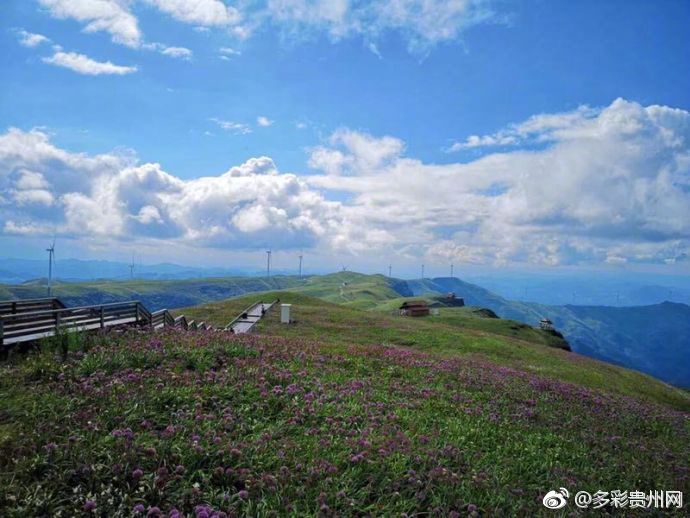 九月,金秋时节,贵州毕节市赫章县韭菜坪风景区迎来了旅游旺季