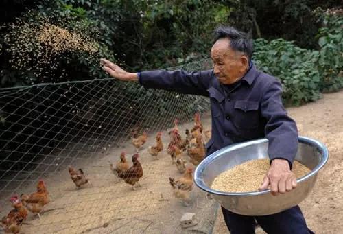 8旬老人一夜之间失去三个儿子,子债父偿为儿子