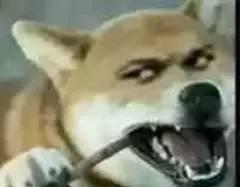 狗王淘车（四）如何在各平台找钱少车好的二手车？