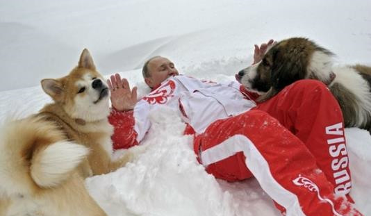 普京的温柔都给狗狗,铁血硬汉也喜欢吸狗