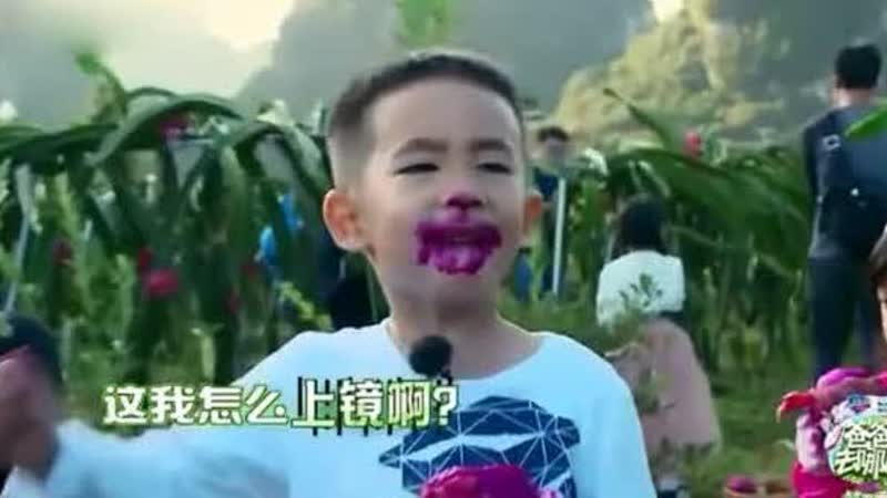 jasper偷吃火龙果,"香肠嘴",为上镜要纸巾,太可爱了