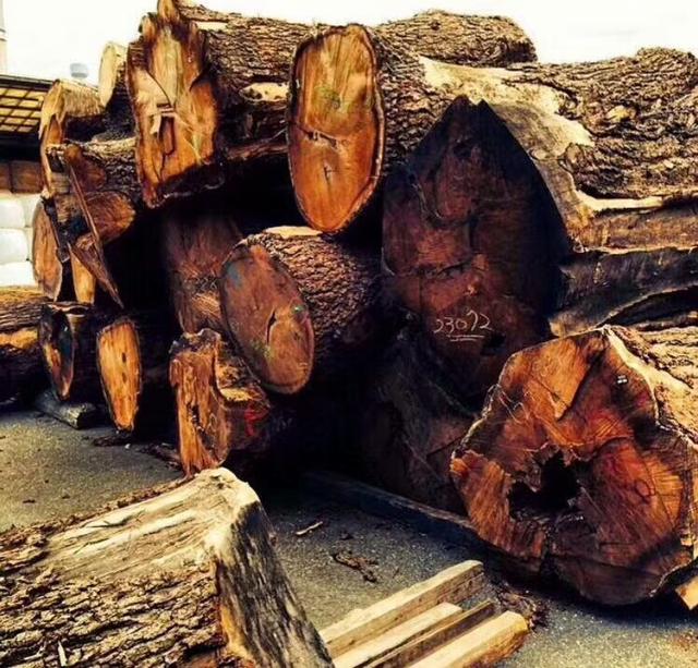 中国从南美洲进口烂木头,经过简单加工后被美